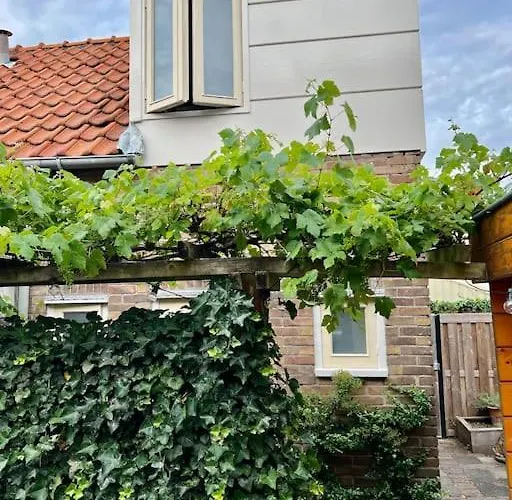 Seaside Tiny House Only 300 Meters From The Beach * Noordwijk