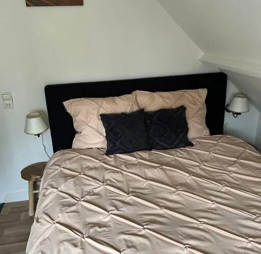 Hébergement de vacances Seaside Tiny House Only 300 Meters From The Beach Noordwijk